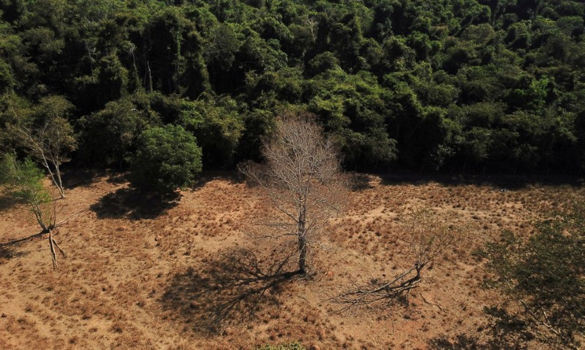 OAB Barro Preto - Depois da COP17, Brasil é cobrado a efetivar metas de restauração