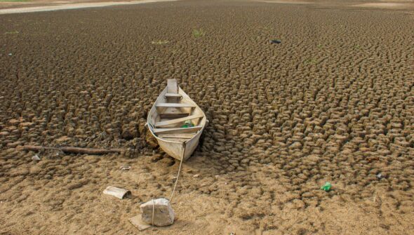 Brasil promete restaurar 163 mil km² de terras degradadas até 2030 
