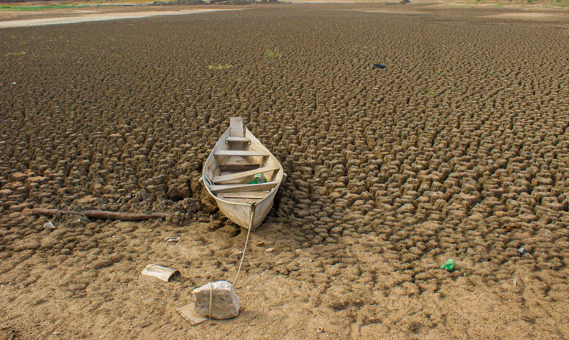 OAB Barro Preto - Brasil promete restaurar 163 mil km² de terras degradadas até 2030 