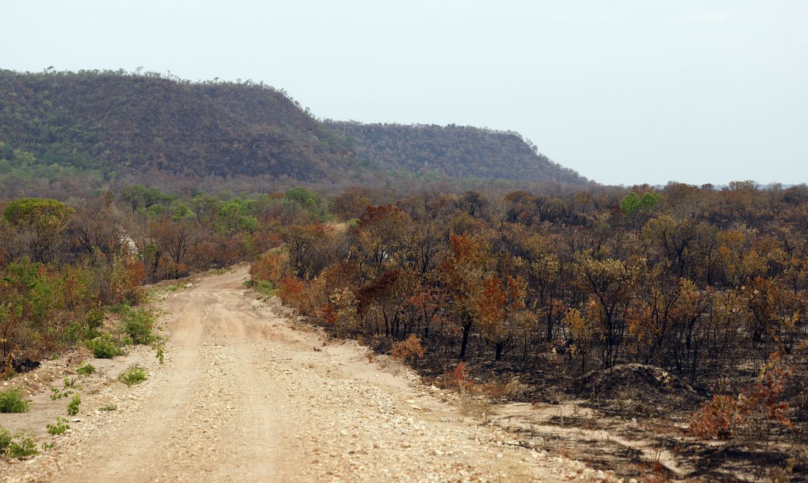 OAB Barro Preto - Mapbiomas: menor vegetação nativa expõe mais o país ao El Niño