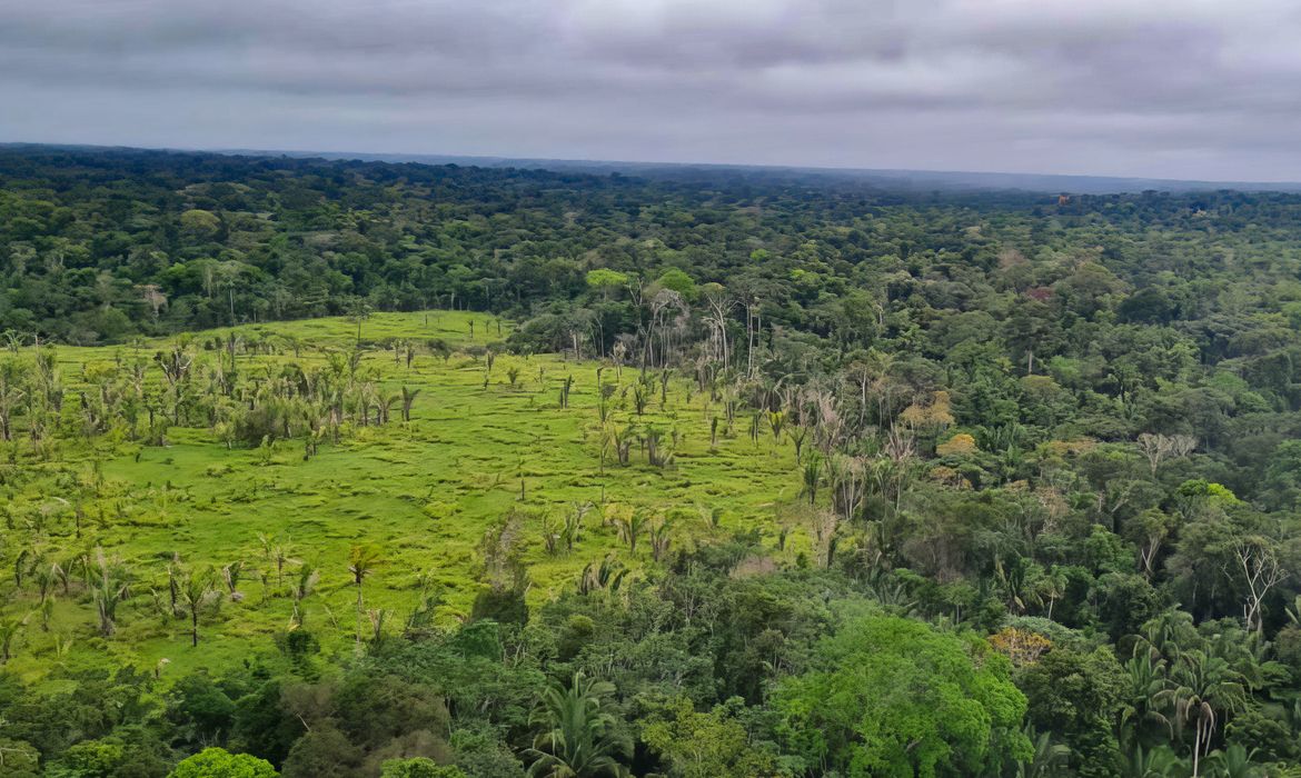 OAB Barro Preto - Imazon aponta desmatamento zero em 60% de terras indígenas na Amazônia