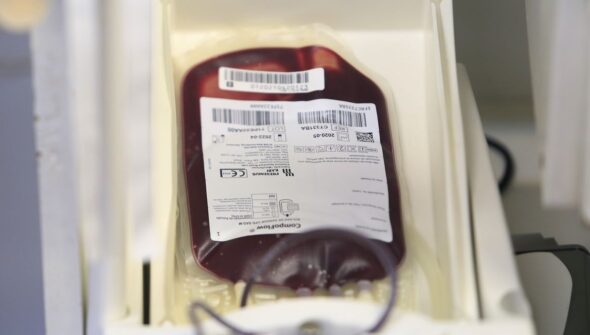 Fundação Pró-Sangue alerta para baixo estoque e faz apelo a doadores