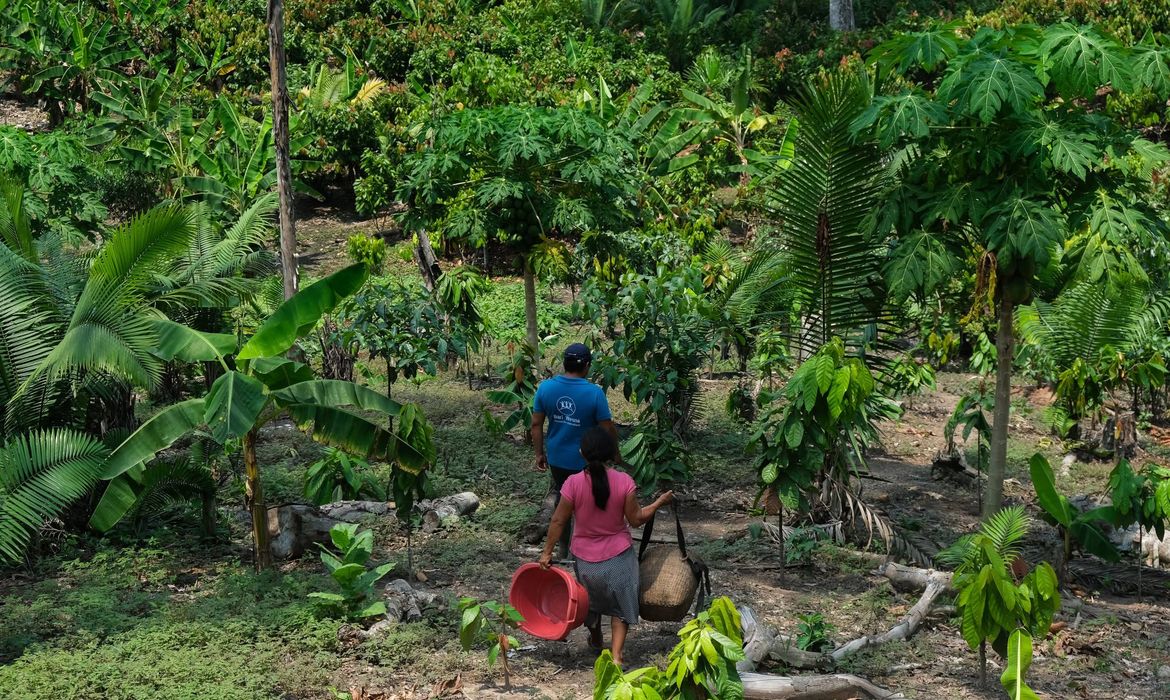 OAB Barro Preto - Da Amazônia ao Chaco, América Latina tem desafios com clima e terra
