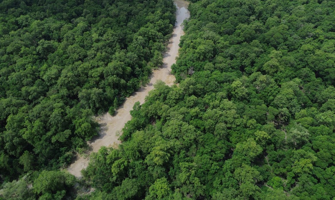 OAB Barro Preto - No Dia da Amazônia, campanha pede que eleitor vote por floresta em pé