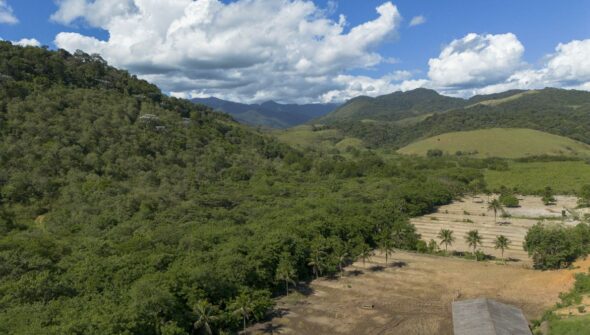 Agricultura ganha 11 milhões de hectares em 41 anos na Mata Atlântica