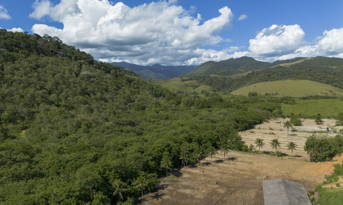 OAB Barro Preto - Agricultura ganha 11 milhões de hectares em 41 anos na Mata Atlântica