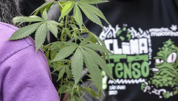 Flagrante por drogas gera mais prisão preventiva do que outros crimes