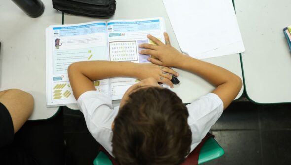 Censo Escolar: resultado preliminar está disponível no site do Inep