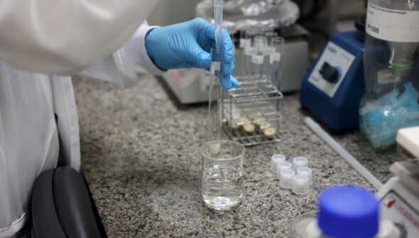 Doença de Newcastle: protocolos sanitários são cumpridos em SC