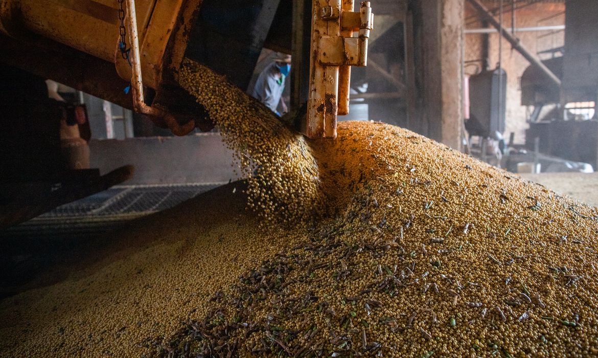 OAB Barro Preto - Produção brasileira de grãos deve aumentar apesar do El Niño