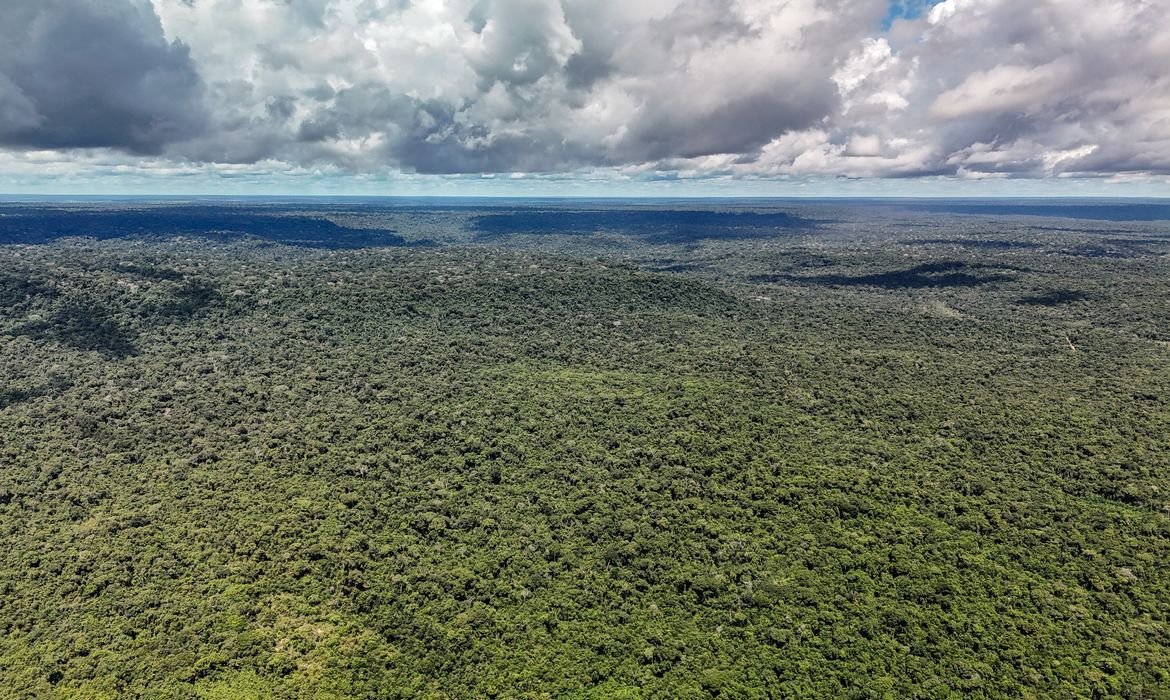 OAB Barro Preto - MapBiomas: Amazônia registra menor nível de desmatamento em 41 anos