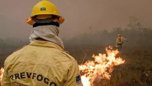 Focos de incêndio no Amazonas diminuem após ação de força-tarefa
