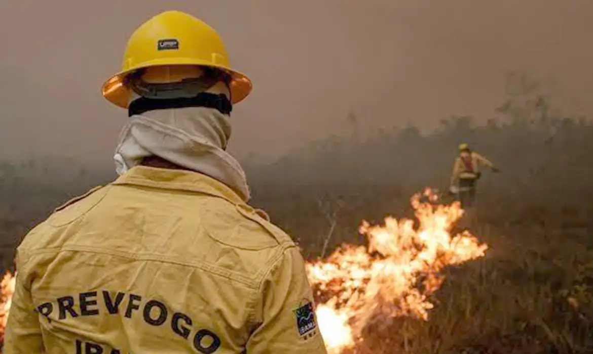 OAB Barro Preto - Focos de incêndio no Amazonas diminuem após ação de força-tarefa