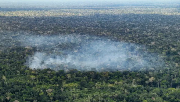 Estudo aponta atividade humana nas emissões de carbono na Amazônia
