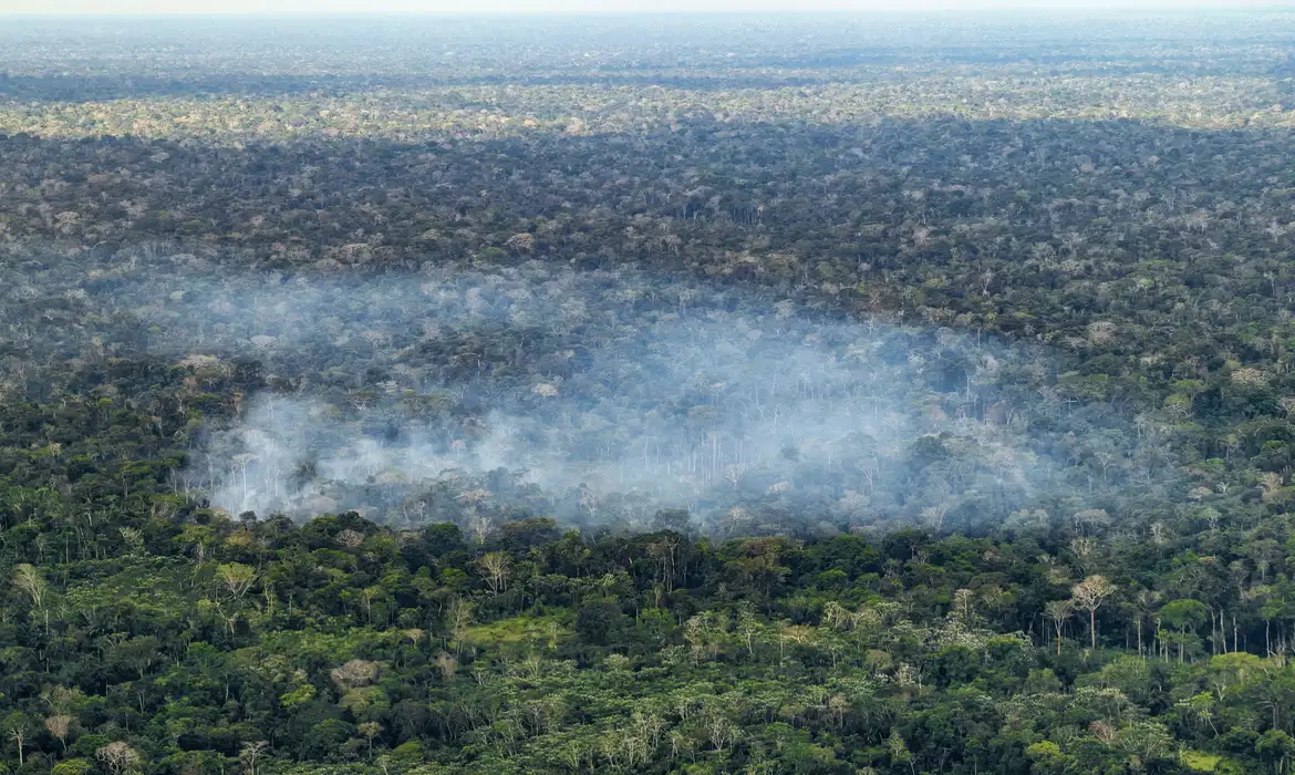 OAB Barro Preto - Estudo aponta atividade humana nas emissões de carbono na Amazônia