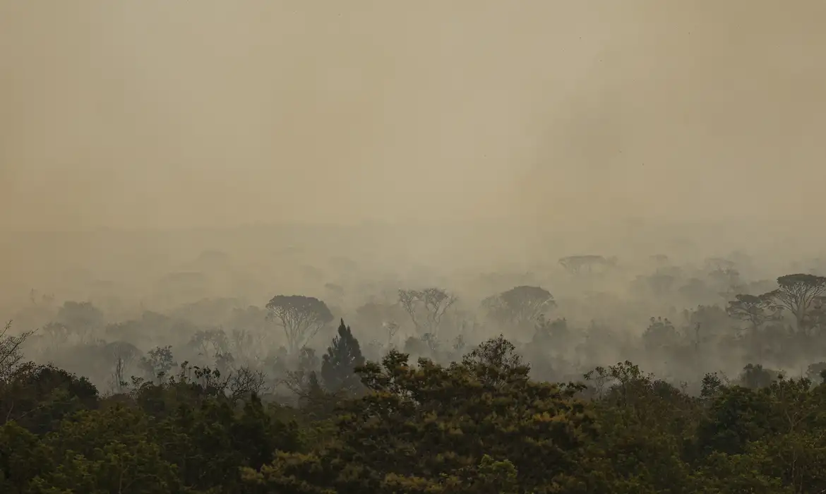 OAB Barro Preto - Força Nacional do SUS apoia atendimentos no Amazonas após incêndios